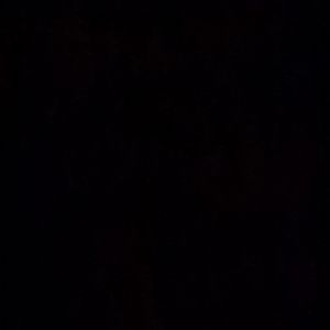 Meet your Posher, Riley